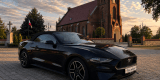 Ford Mustang Cabrio | Auto do ślubu Gdańsk, pomorskie - zdjęcie 2