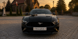 Ford Mustang Cabrio | Auto do ślubu Gdańsk, pomorskie - zdjęcie 3