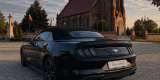 Ford Mustang Cabrio | Auto do ślubu Gdańsk, pomorskie - zdjęcie 4
