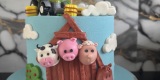 Sweetland | Tort weselny Cieksyn, mazowieckie - zdjęcie 4