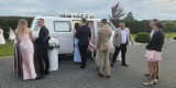 Ewelina - Mobilne Fotobudki | Fotobudka na wesele Katowice, śląskie - zdjęcie 2