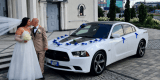 Dodge Charger Daytona | Auto do ślubu Łomża, podlaskie - zdjęcie 6