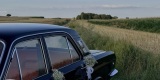 Retro 2.4 - Czarna Wołga | Auto do ślubu Jabłonna Pierwsza, lubelskie - zdjęcie 4