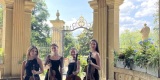 Glamour String Quartet | Oprawa muzyczna ślubu Katowice, śląskie - zdjęcie 6