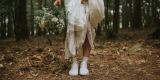 Wedding Dreams - Filmy | Kamerzysta na wesele Warszawa, mazowieckie - zdjęcie 5