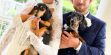 wasza.rolka Wedding Content Creator | Kamerzysta na wesele Kraków, małopolskie - zdjęcie 5