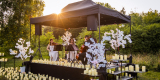 Dreamlive Weddings | Artysta Kraków, małopolskie - zdjęcie 5