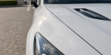 Perłowa KIA STINGER 3.3 V6 Biturbo | Auto do ślubu Tomaszów Mazowiecki, łódzkie - zdjęcie 4