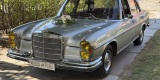 RentClass - Klasyczne samochody | Auto do ślubu Wrocław, dolnośląskie - zdjęcie 5