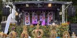 Akordeonista w drodze K.Szymanowski | Artysta Koszalin, zachodniopomorskie - zdjęcie 4