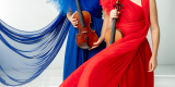 Violin Art Project | Oprawa muzyczna ślubu Katowice, śląskie - zdjęcie 2