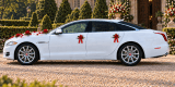 Limuzyna JAGUAR XJ | Auto do ślubu Odolion, kujawsko-pomorskie - zdjęcie 2