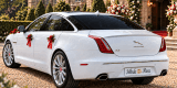 Limuzyna JAGUAR XJ | Auto do ślubu Odolion, kujawsko-pomorskie - zdjęcie 3