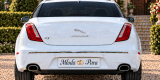 Limuzyna JAGUAR XJ | Auto do ślubu Odolion, kujawsko-pomorskie - zdjęcie 4