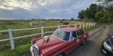 Mercedes W109 | Auto do ślubu Wrocław, dolnośląskie - zdjęcie 4