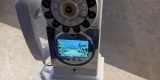 Halo Życzenia | Telefon życzeń | Unikatowe atrakcje Ostrów Wielkopolski, wielkopolskie - zdjęcie 2