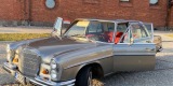 Srebrny Mercedes-Benz W108 Klasy S | Auto do ślubu Sierakowice, pomorskie - zdjęcie 3
