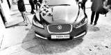 Luksusowy Jaguar XF oraz Volkswagen CC, Limanowa - zdjęcie 4