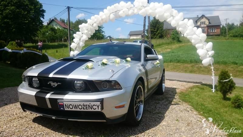 Ford Mustang GT V8 do ślubu, imprezy | Auto do ślubu Sosnowiec, śląskie - zdjęcie 1