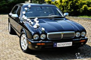 Jaguar Daimler Super V8 Chrysler PT Cruser, Samochód, auto do ślubu, limuzyna Bochnia