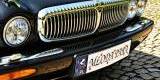 Jaguar Daimler Super V8 Chrysler PT Cruser | Auto do ślubu Bochnia, małopolskie - zdjęcie 3