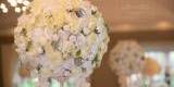 Wypożyczalnia dekoracji ślubnych, kwiatowych, tła, Kielcza - zdjęcie 2