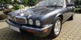 Jaguarem do Ślubu - XJ8 V8, Częstochowa - zdjęcie 2