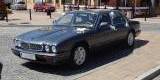 Jaguarem do Ślubu - XJ8 V8, Częstochowa - zdjęcie 3
