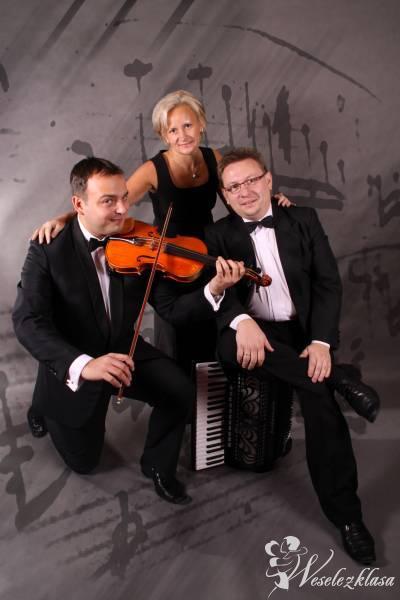 Trio Appassionata | Oprawa muzyczna ślubu Ruda Śląska, śląskie - zdjęcie 1