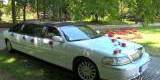 Limuzyna Wynajem Rolls Lincoln Excalibur cabrio, Tarnobrzeg - zdjęcie 4