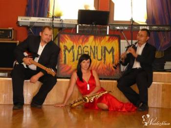 Zespół muzyczny "MAGNUM", Zespoły weselne Woźniki