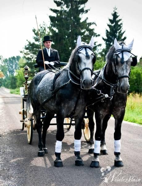 Powóz Lando z końmi | Bryczka do ślubu Grodzisk Mazowiecki, mazowieckie - zdjęcie 1