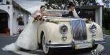 Armstrong Siddeley Triumph Renown | Auto do ślubu Szczedrzyk, opolskie - zdjęcie 8