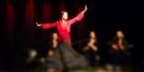 Pokaz tańca flamenco - ekspresja, rytm, zmysłowość, Gdańsk - zdjęcie 2