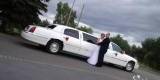 Białe długie Limuzyny Lincoln | Auto do ślubu Wagrowiec, wielkopolskie - zdjęcie 2