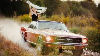 Mustangiem do Ślubu | Auto do ślubu Zamość, lubelskie