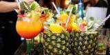 Drink Bar Cocktail Studio | Barman na wesele Siedlce, mazowieckie - zdjęcie 6