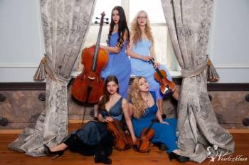 KWARTET SMYCZKOWY - Blue String Quartet, Zespoły weselne Mrocza