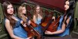 KWARTET SMYCZKOWY - Blue String Quartet, Bydgoszcz - zdjęcie 5