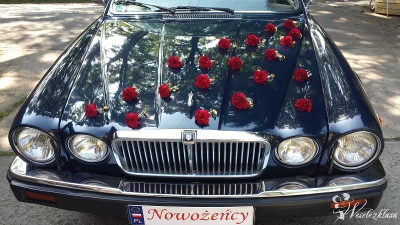 Ekskluzywny Jaguar XJ12 do wynajęcia | Auto do ślubu Wałbrzych, dolnośląskie - zdjęcie 1