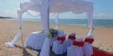 Śluby w plenerze - Zielony Bankiet | Wedding planner Kłodawa, pomorskie - zdjęcie 4
