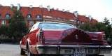 Czerwony Lincoln Continental Mark V | Auto do ślubu Pruszków, mazowieckie - zdjęcie 2