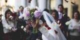 Amore Perfetto - Wedding Planners | Wedding planner Siedlce, mazowieckie - zdjęcie 2