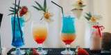 raBarBar - Barman na TWOJE wesele! Drink Bar! Pokazy! Gratisy, Rzeszów - zdjęcie 1