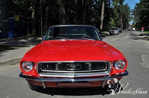 Ford Mustang 1967 auto do ślubu, wesele, wynajem, slub samochód | Auto do ślubu Lublin, lubelskie - zdjęcie 1
