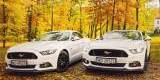 Mercedes E Coupe AMG, Mustang GT i Chevrolet Camaro do ślubu, Łódź - zdjęcie 5