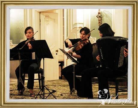 Mea Trio | Oprawa muzyczna ślubu Białystok, podlaskie - zdjęcie 1