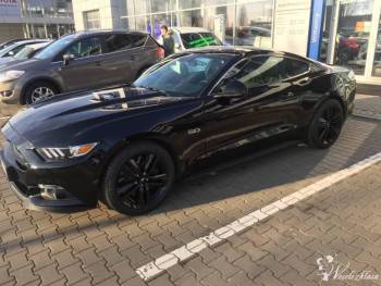 Ford Mustang GT 2016 Premium, Samochód, auto do ślubu, limuzyna Łódź