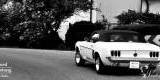 Kultowy Ford Mustang Cabrio 1969r do Ślubu, Nowy Wiśnicz - zdjęcie 3