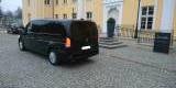 Mercedes-Benz Vito w447 do ślubu i nie tylko, Gdynia - zdjęcie 2